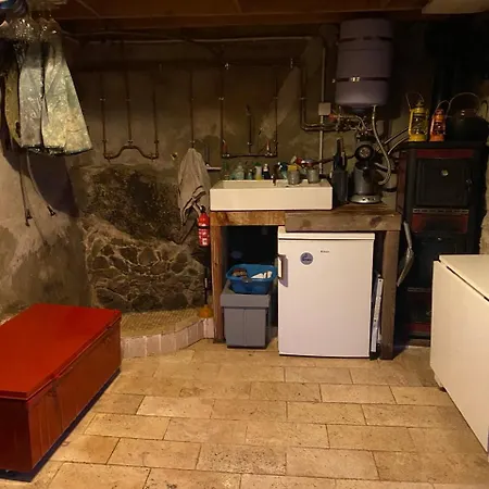 Mon Reve De Garcon - Connectees A La Nature Félines