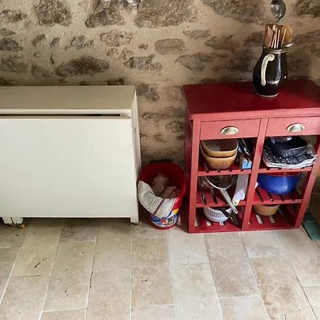 Mon Reve De Garcon - Connectees A La Nature * Félines