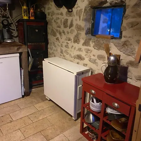 Mon Reve De Garcon - Connectees A La Nature Félines