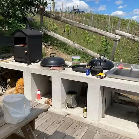 Mon Reve De Garcon - Connectees A La Nature *