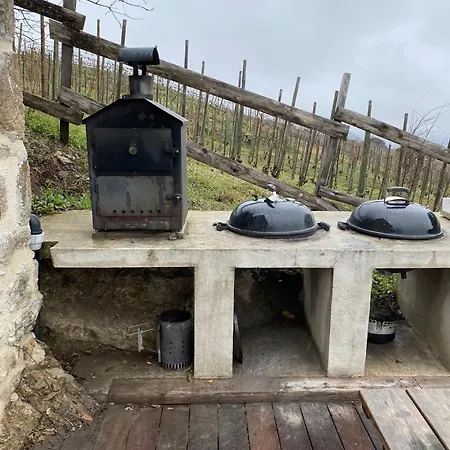 Mon Reve De Garcon - Connectees A La Nature