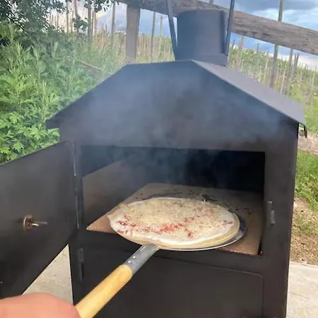 Mon Reve De Garcon - Connectees A La Nature Félines