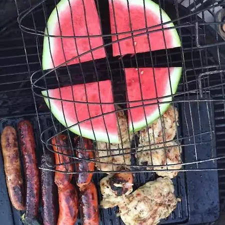 Mon Reve De Garcon - Connectees A La Nature Félines