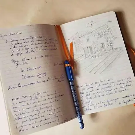 Mon Reve De Garcon - Connectees A La Nature Félines
