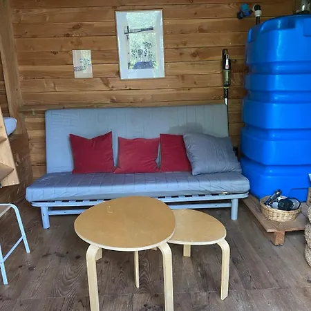 Mon Reve De Garcon - Connectees A La Nature * Félines