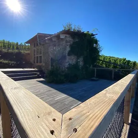 Campingplatz Mon Reve De Garcon - Connectees A La Nature Félines