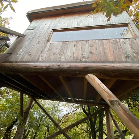 Mon Reve De Garcon - Connectees A La Nature Camping Félines